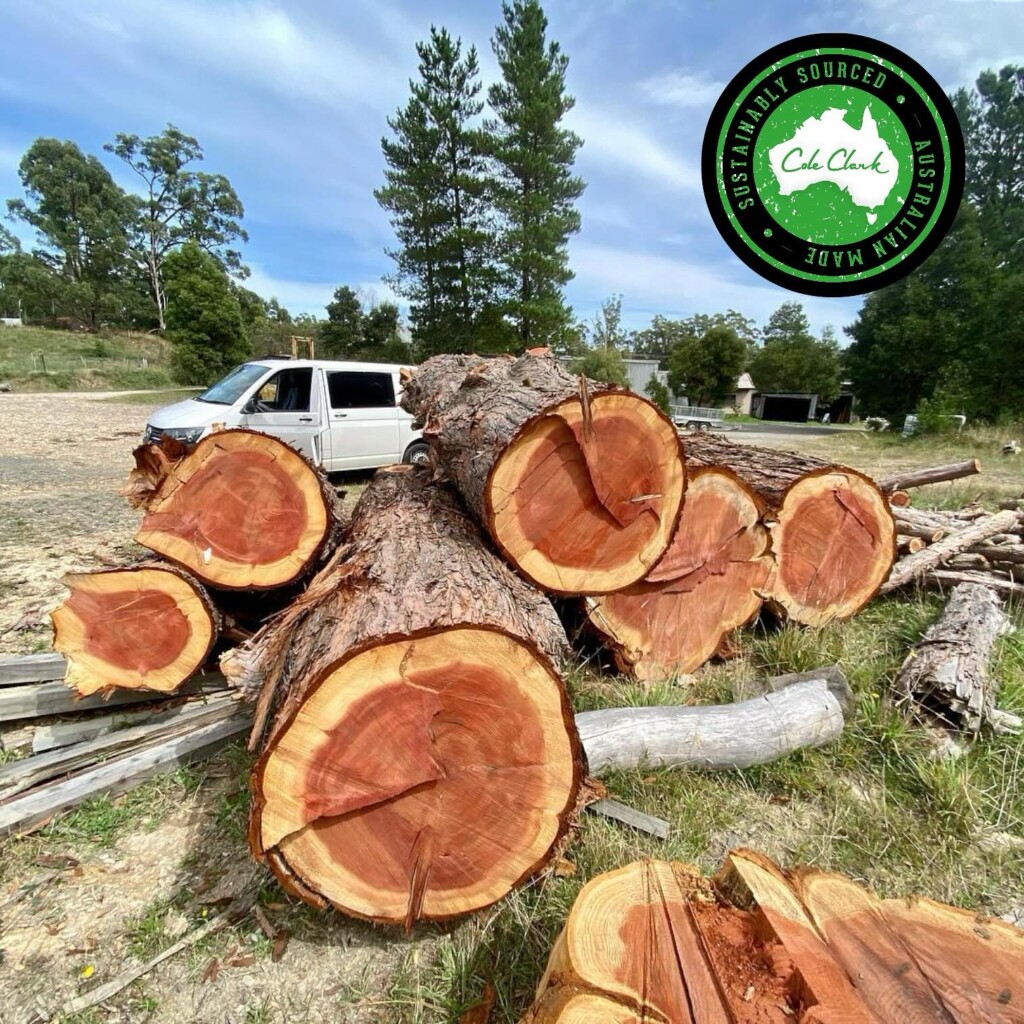 cole clark timbers